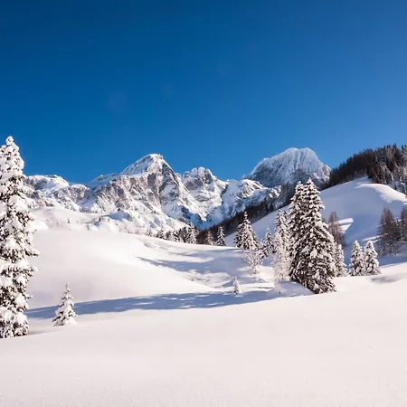 Gaestehaus Hochkoenig Pensjonat 3*
