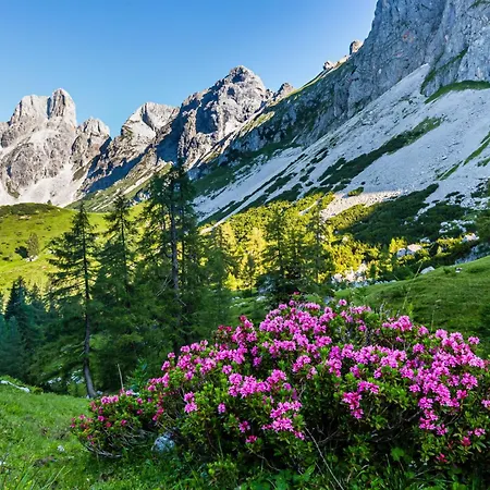 Pensjonat Gaestehaus Hochkoenig