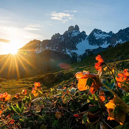 霍克孔宁旅馆 3*